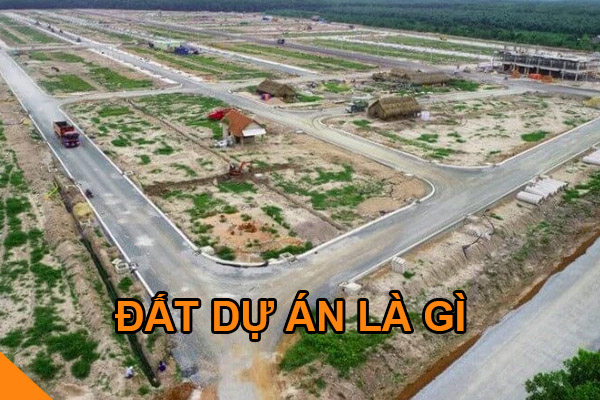 đất dự án là gì